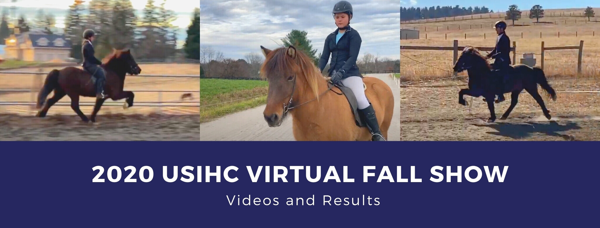 USIHC Virtual Fall Show Videos and Results