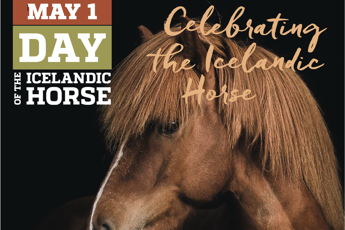 Day of the Icelandic Horse