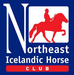 Northeast Icelandic Horse Club (NEIHC)